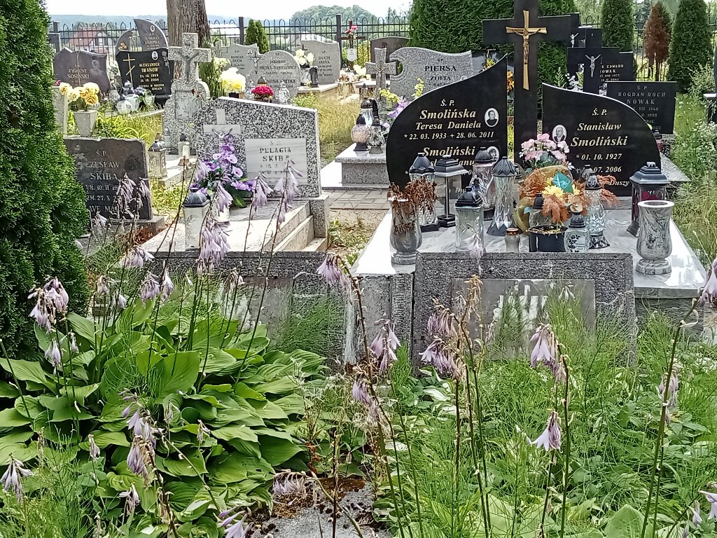  NN Barczewko - Grobonet - Wyszukiwarka osób pochowanych